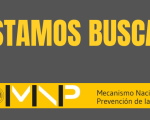 Llamado de manifestación de interés para formar parte del equipo del MNP
